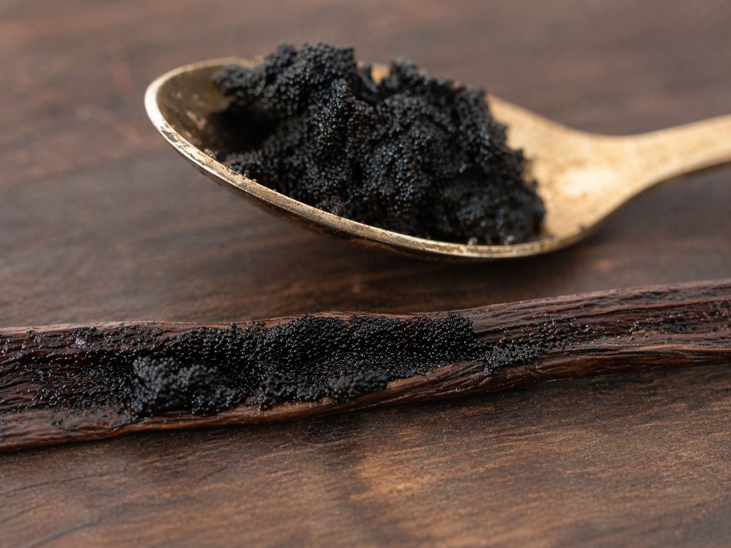 Caviar de vanille — graines Vanilla planifolia, Sambava Madagascar