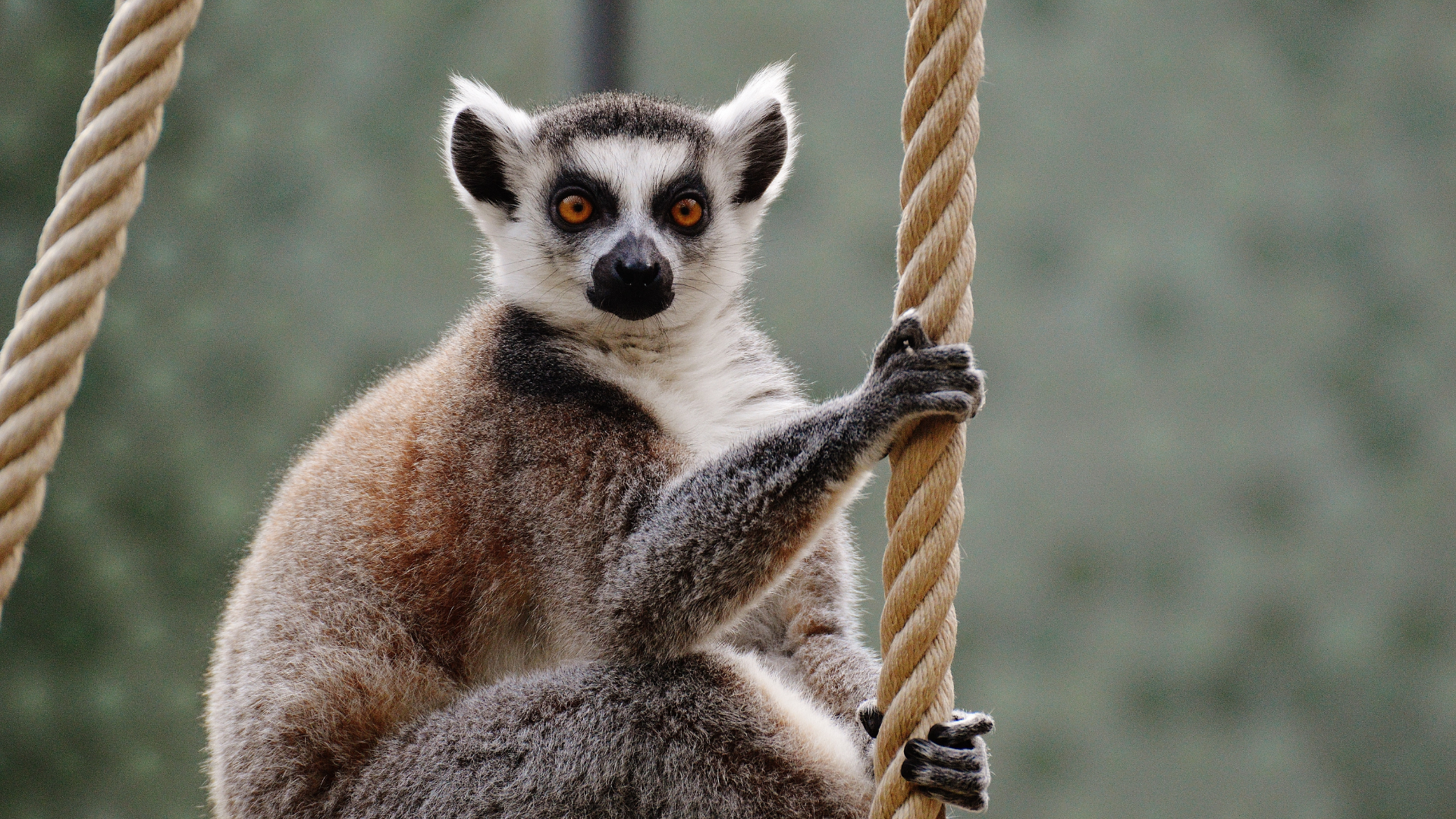 Ova Vanilla — Maison de négoce, Marseille